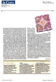 mosaic-anais - Presse