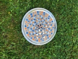 Orange marine - 49 € - Plateaux ronds